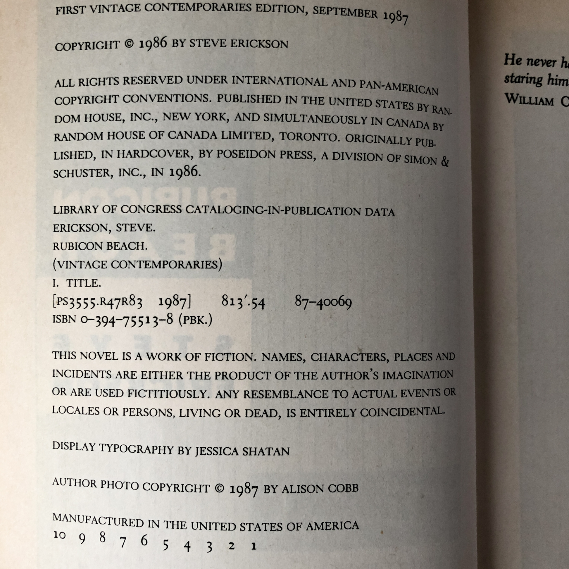 Rubicon Beach by Steve Erickson [FIRST PAPERBACK PRINTING] - Bookshop Apocalypse