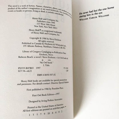 Rubicon Beach by Steve Erickson [TRADE PAPERBACK / 1997]