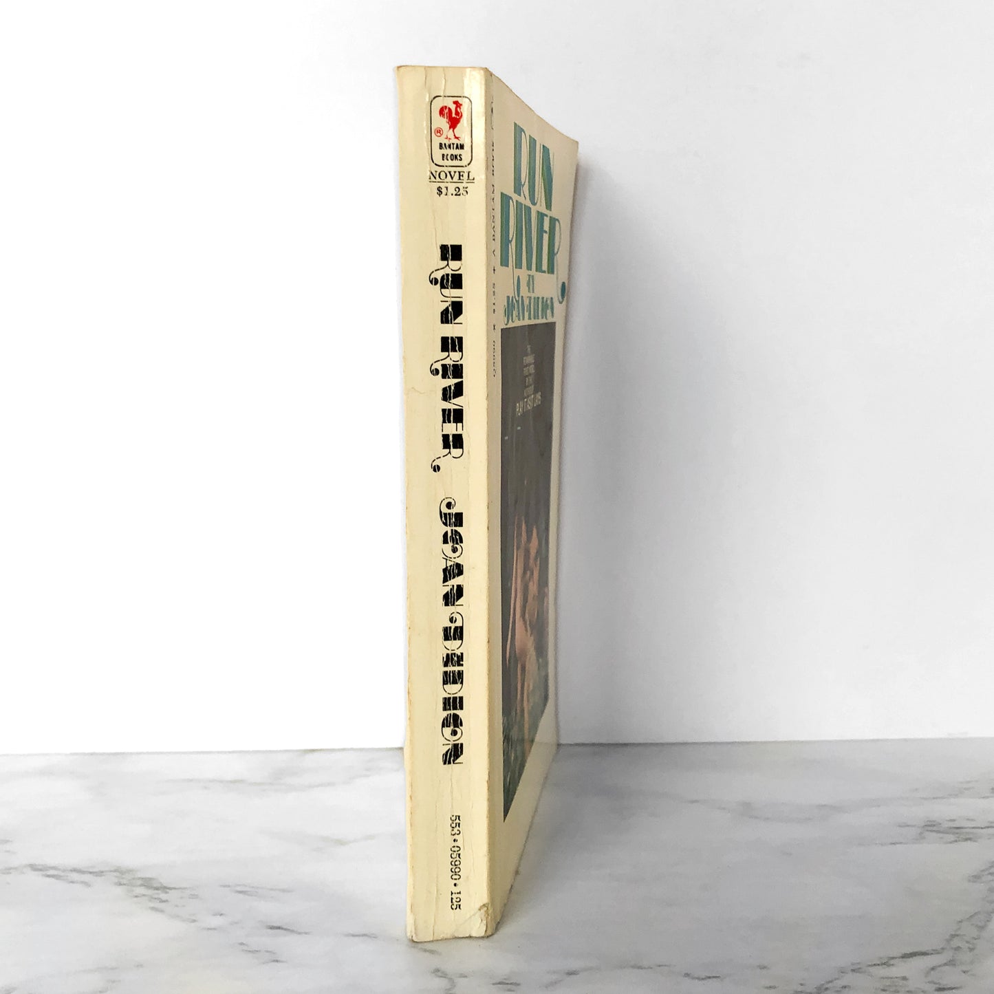 Run River by Joan Didion [1971 PAPERBACK] MEGA RARE Bantam Printing