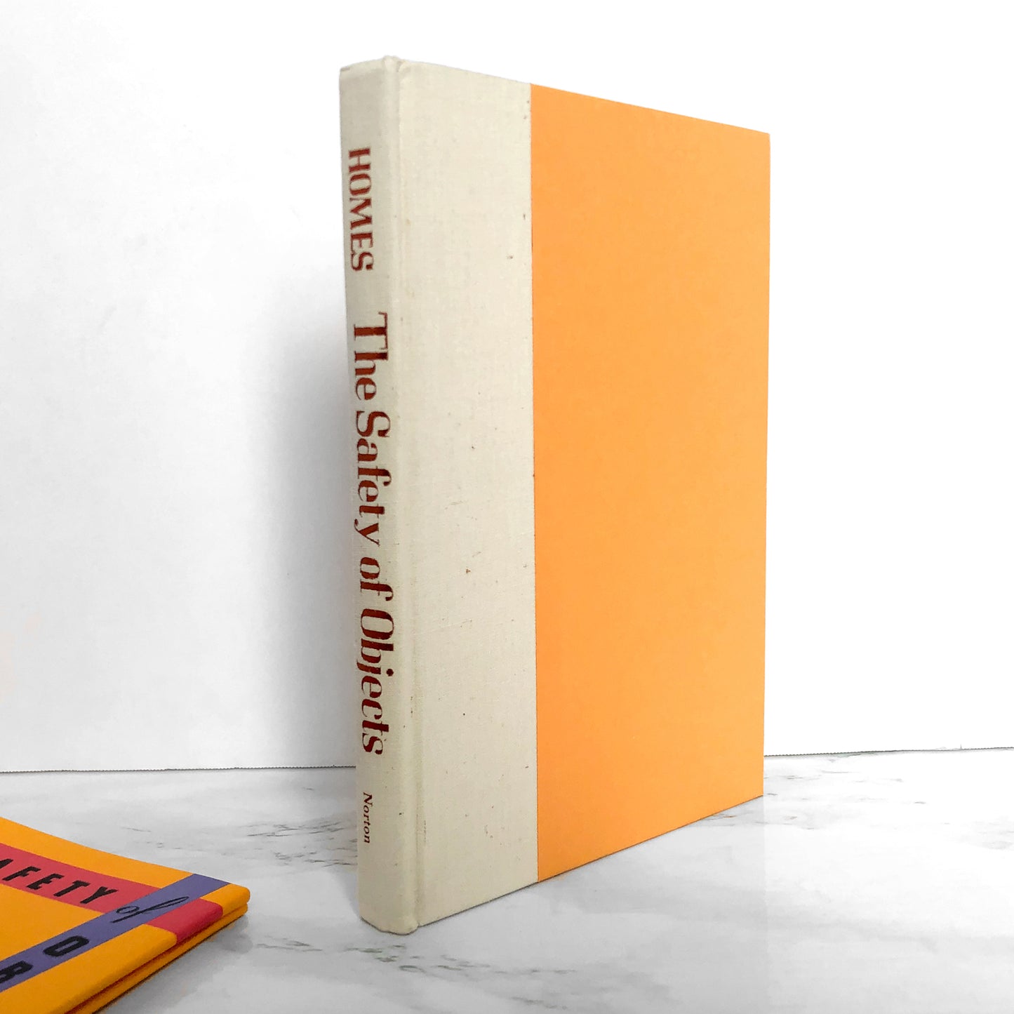 The Safety of Objects by A.M. Homes SIGNED! [FIRST EDITION / FIRST PRINTING]