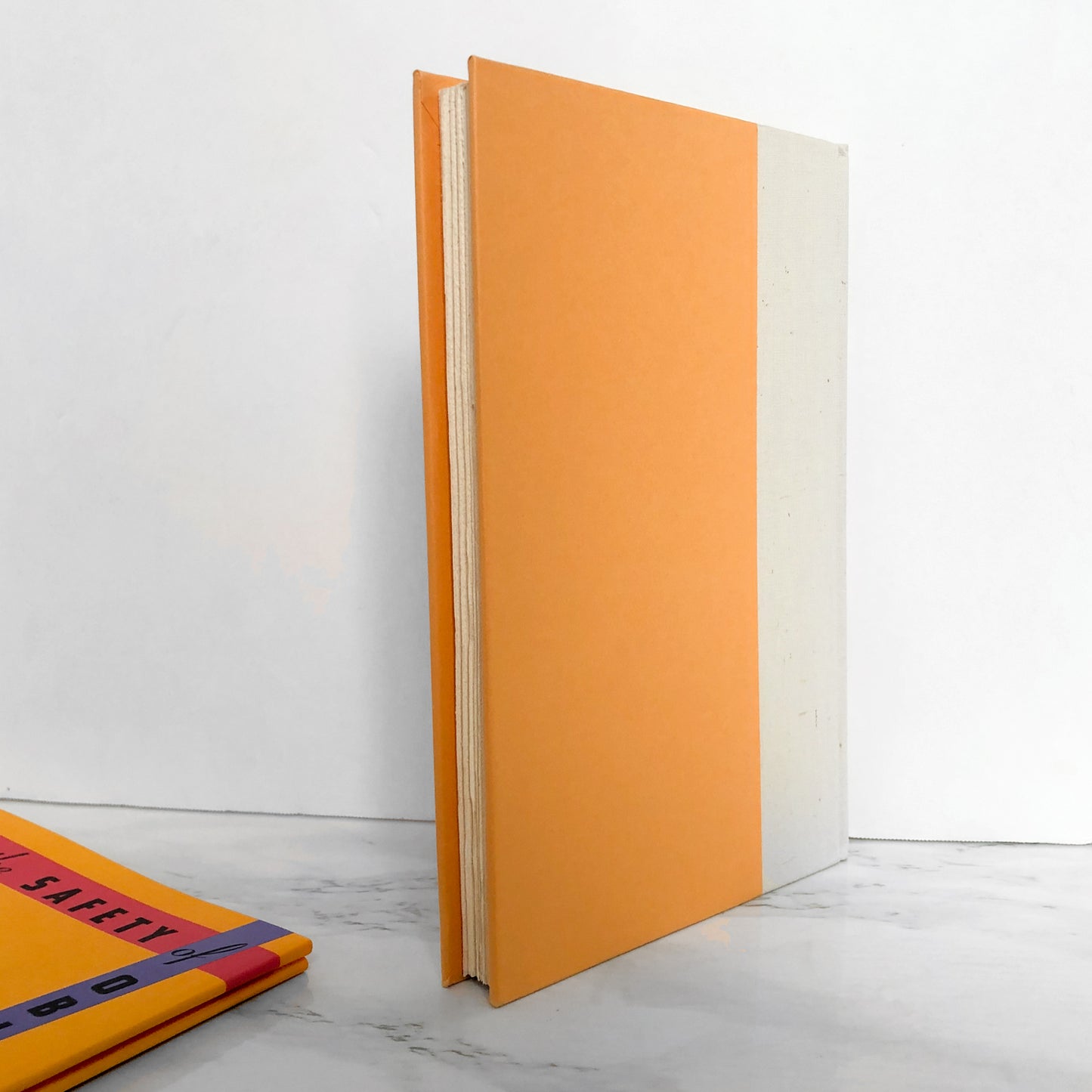 The Safety of Objects by A.M. Homes SIGNED! [FIRST EDITION / FIRST PRINTING]