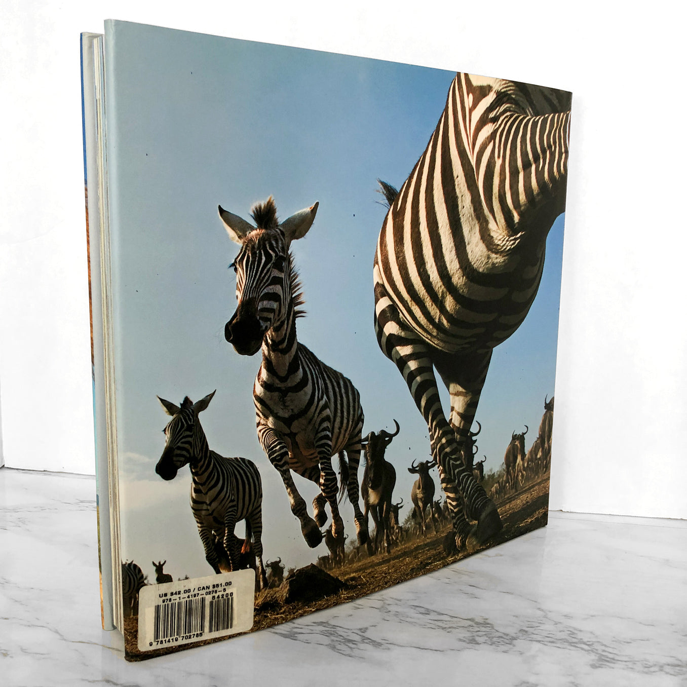 Serengeti Spy: Views from a Hidden Camera on the Plains of East Africa by Anup Shah [FIRST EDITION] 2012