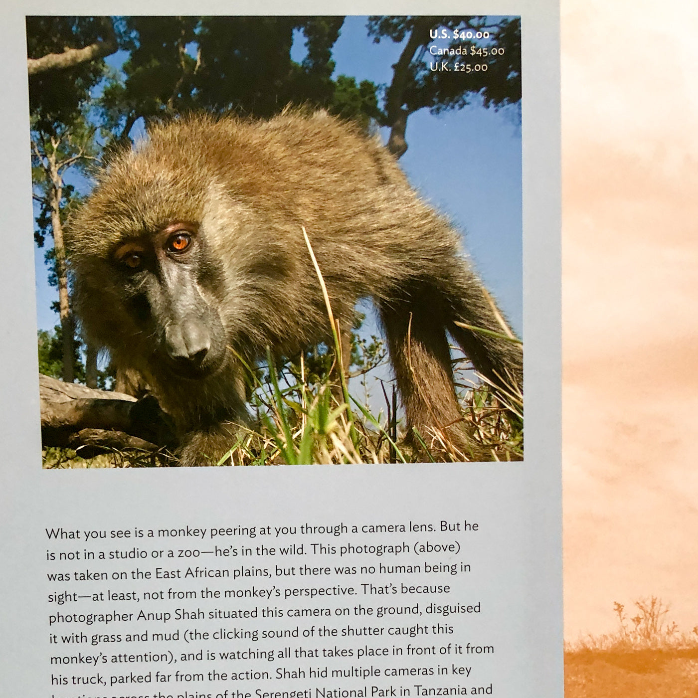 Serengeti Spy: Views from a Hidden Camera on the Plains of East Africa by Anup Shah [FIRST EDITION] 2012