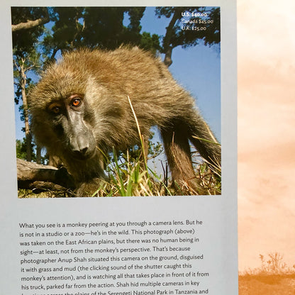 Serengeti Spy: Views from a Hidden Camera on the Plains of East Africa by Anup Shah [FIRST EDITION] 2012