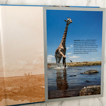 Serengeti Spy: Views from a Hidden Camera on the Plains of East Africa by Anup Shah [FIRST EDITION] 2012