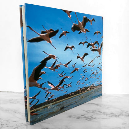 Serengeti Spy: Views from a Hidden Camera on the Plains of East Africa by Anup Shah [FIRST EDITION] 2012