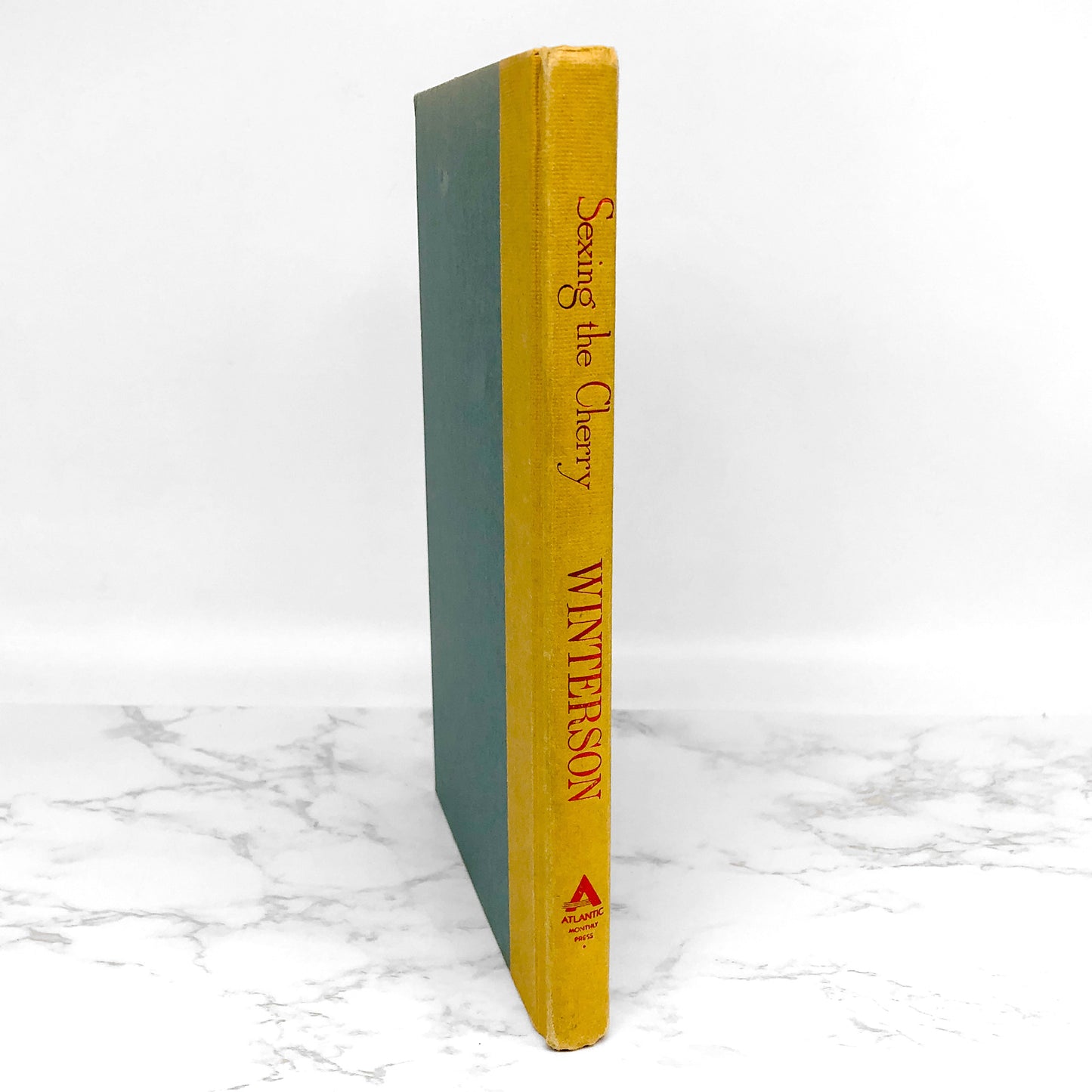 Sexing The Cherry by Jeanette Winterson [U.S. FIRST EDITION] 1990