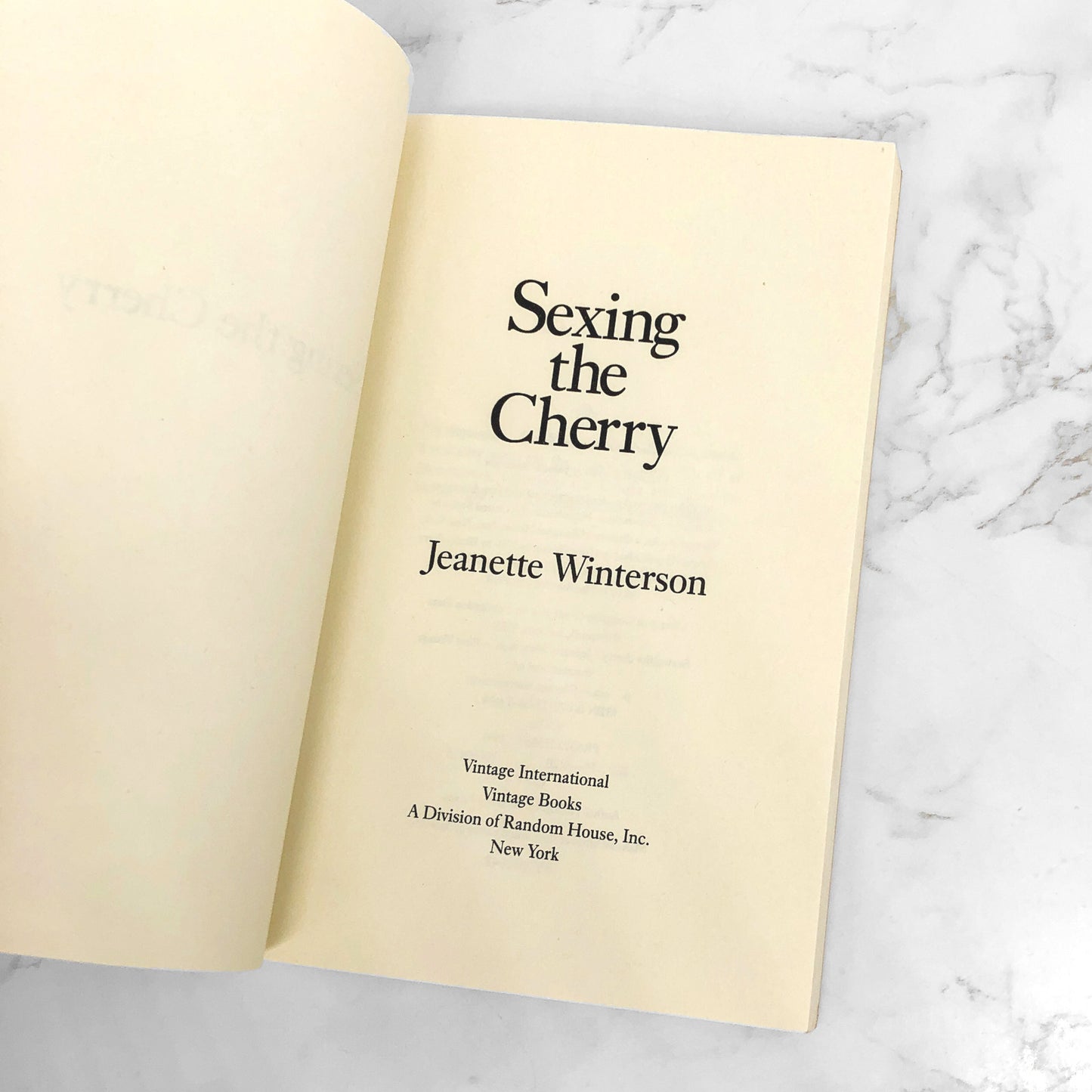 Sexing The Cherry by Jeanette Winterson [FIRST PAPERBACK PRINTING] 1991 • Vintage Int.