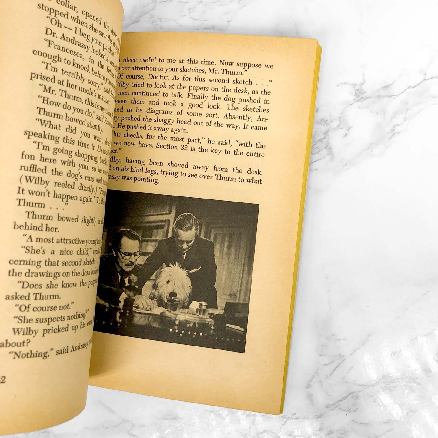 Disney's The Shaggy Dog by Elizabeth L. Griffin [FIRST EDITION PAPERBACK] 1968