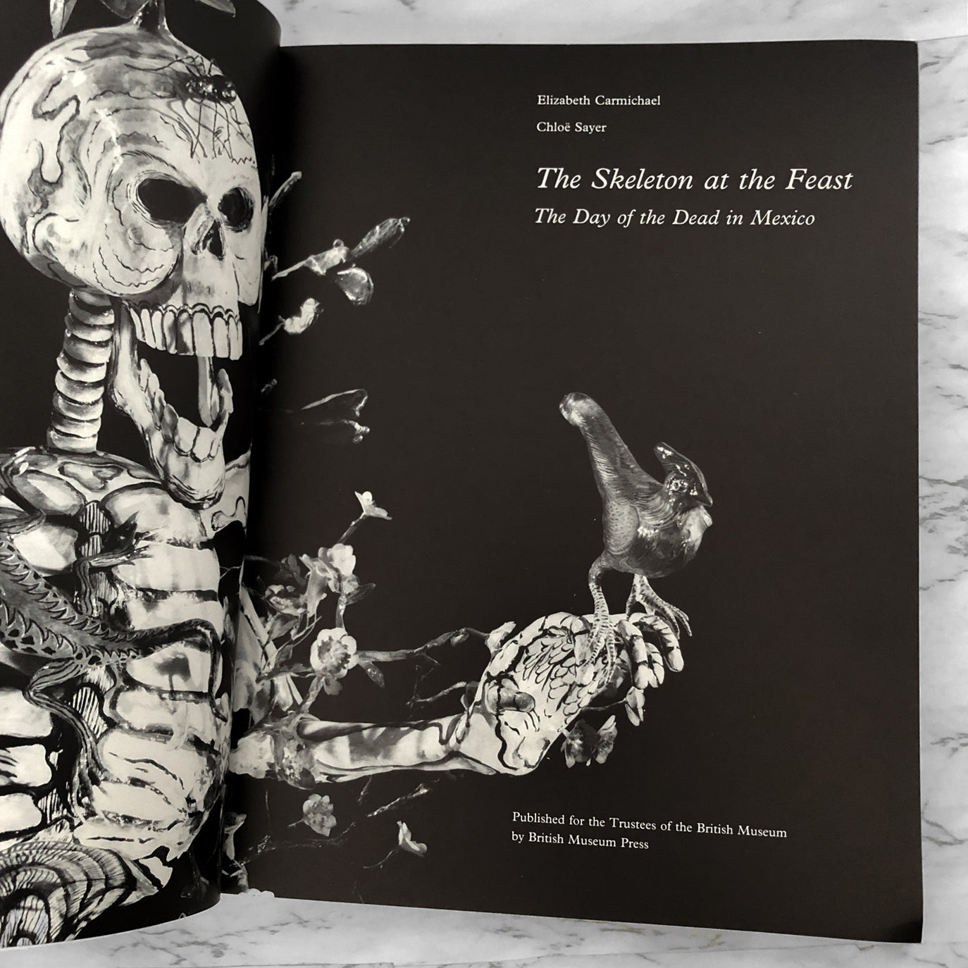 The Skeleton at the Feast: The Day of the Dead in Mexico by Elizabeth Carmichael & Chloe Sayer [U.K. FIRST EDITION]