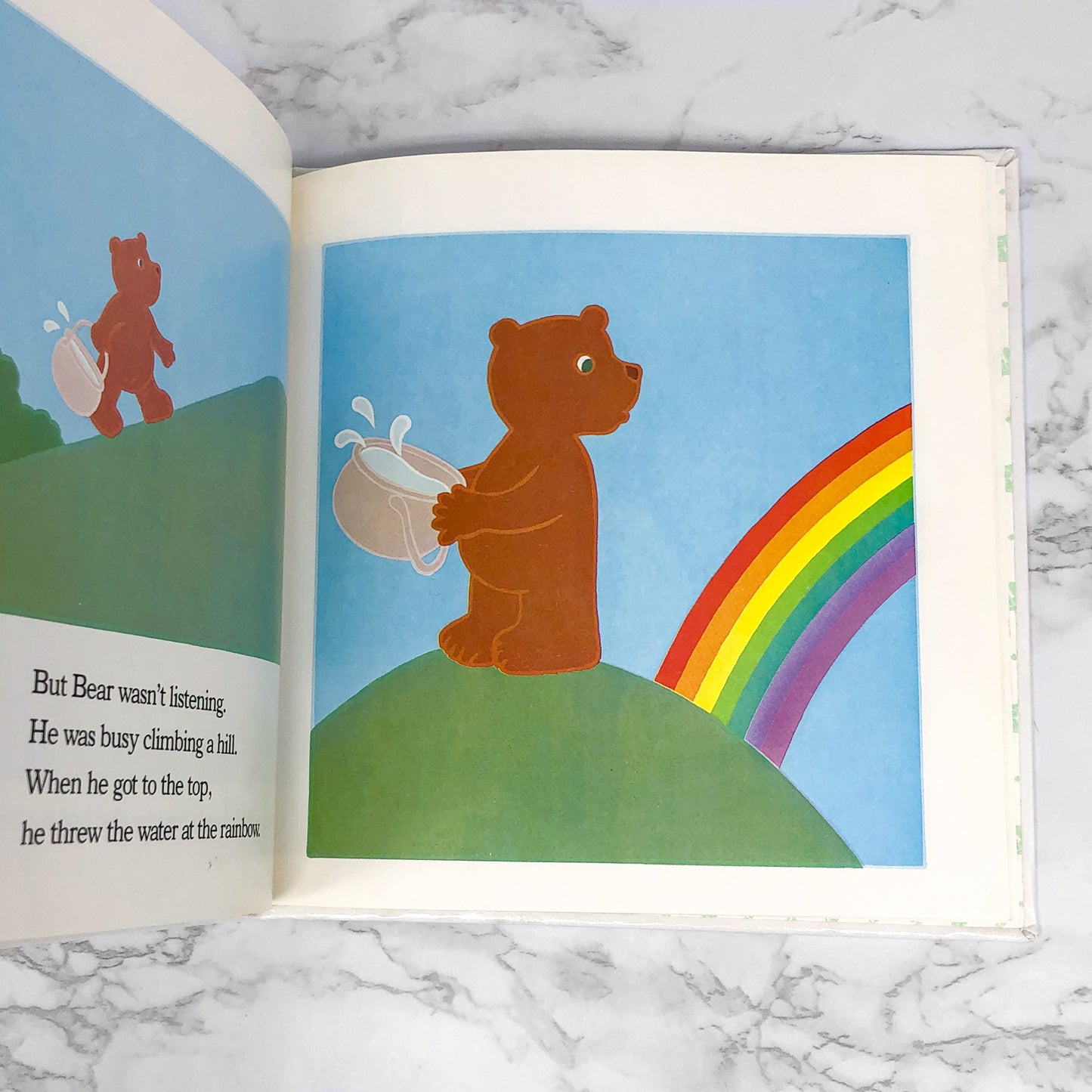 Skyfire by Frank Asch [1988 HARDCOVER] • Turtleback Books