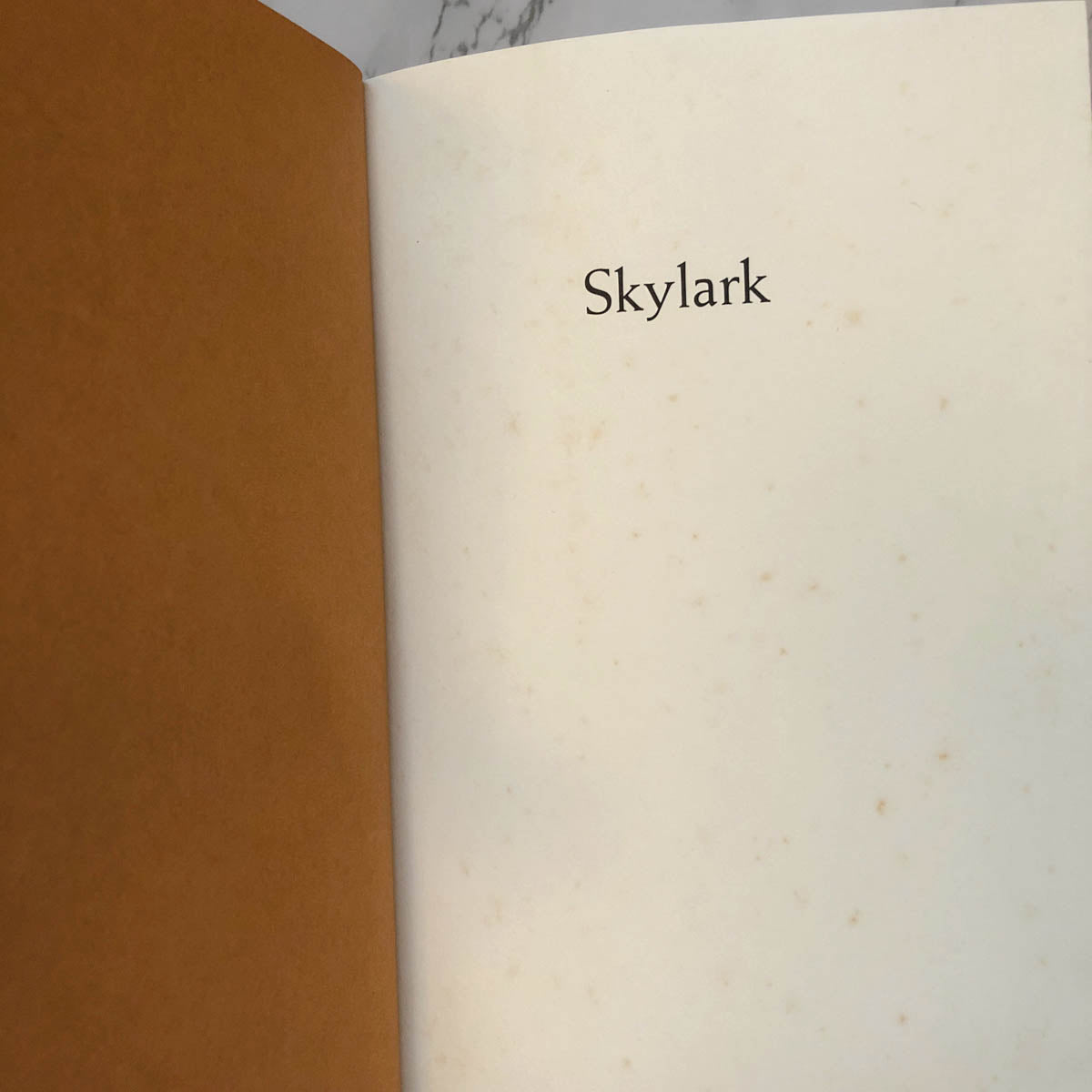 Skylark by Patricia MacLachlan [FIRST EDITION] 1994 • Sarah Plain & Tall #2