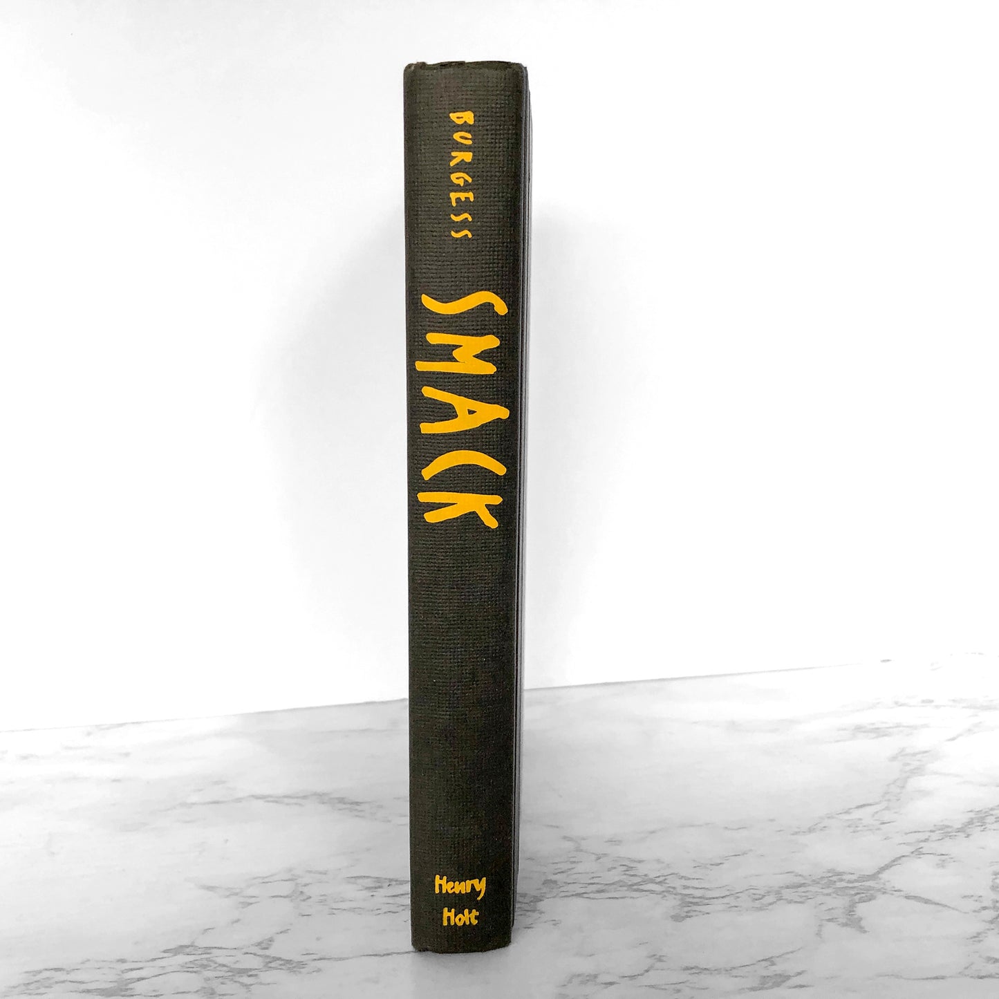 Smack by Melvin Burgess [U.S. FIRST EDITION] 1998