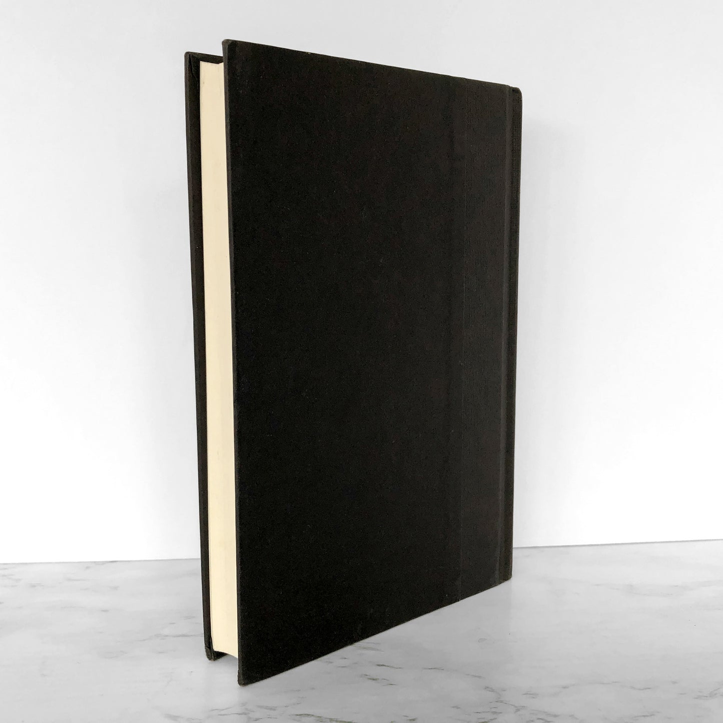 Smack by Melvin Burgess [U.S. FIRST EDITION] 1998