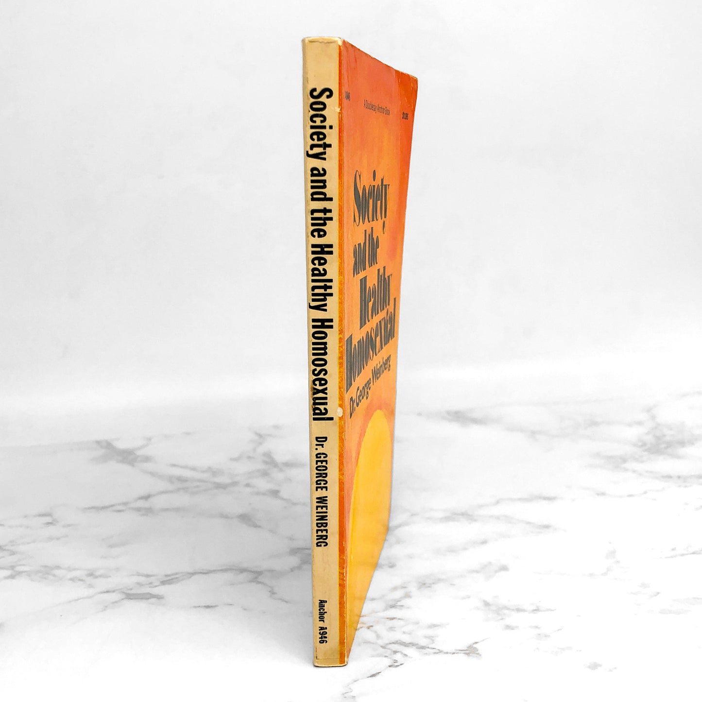 Society and the Healthy Homosexual by George Weinberg [FIRST PAPERBACK PRINTING] 1973 *See Condition