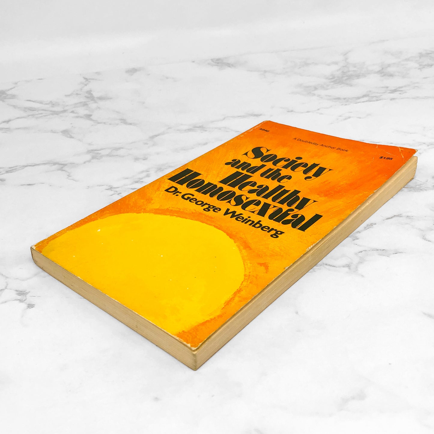 Society and the Healthy Homosexual by George Weinberg [FIRST PAPERBACK PRINTING] 1973 *See Condition