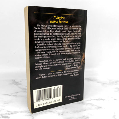 Something Stirs by Charles L. Grant [FIRST PAPERBACK PRINTING] 1993 • TOR Horror
