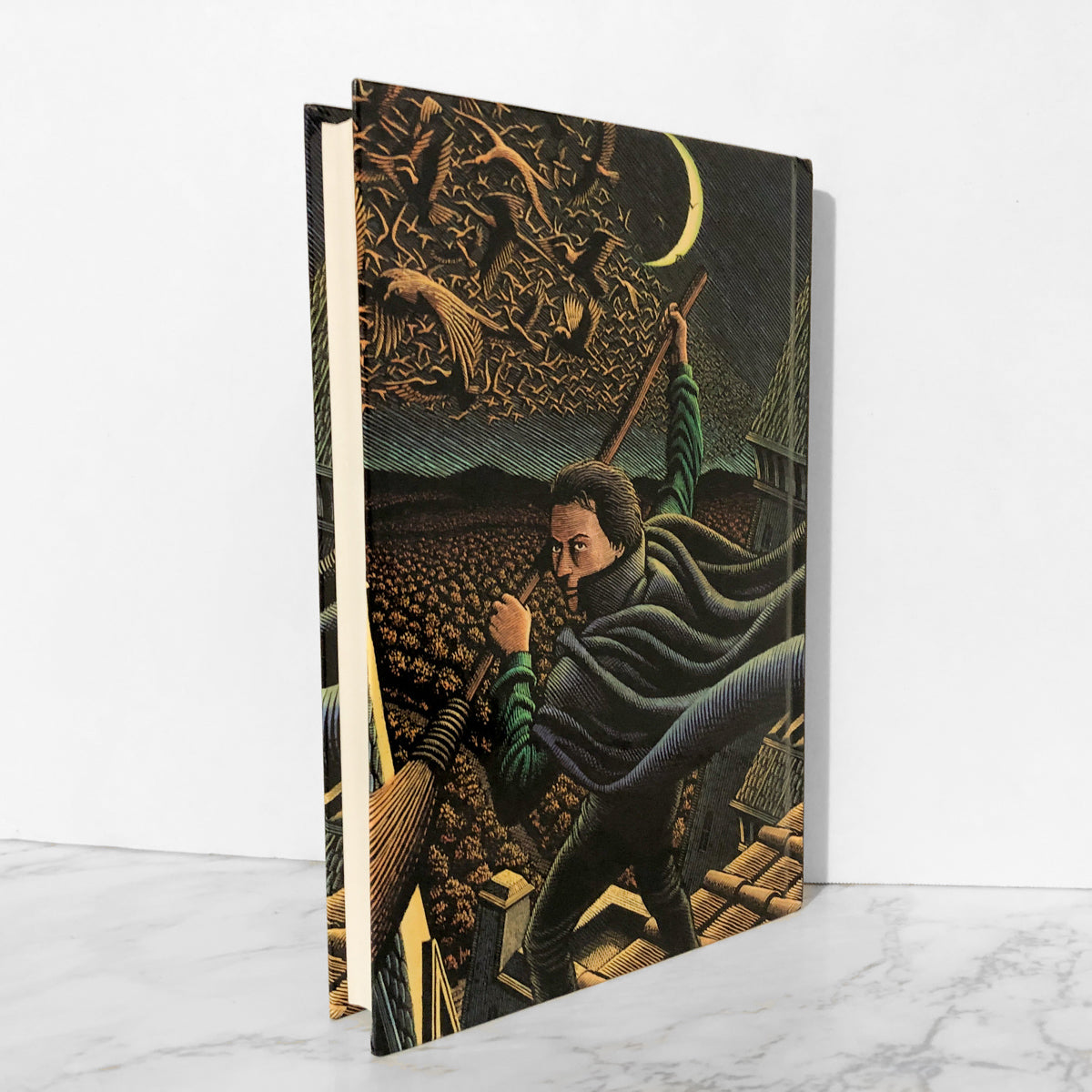 Son of A Witch by Gregory Maguire SIGNED! [FIRST PRINTING] - Bookshop Apocalypse