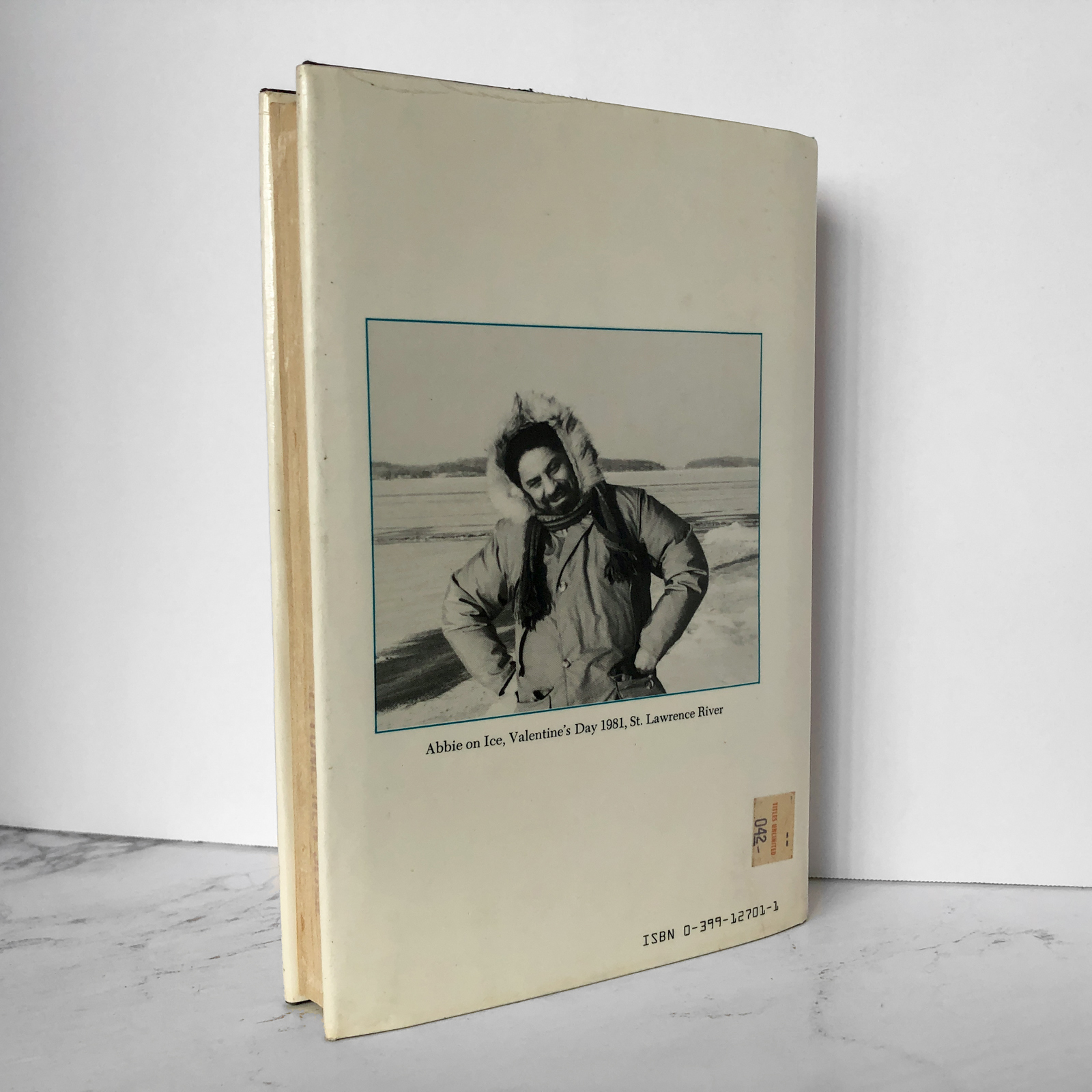 Square Dancing in the Ice Age by Abbie Hoffman [FIRST EDITION] - Bookshop Apocalypse