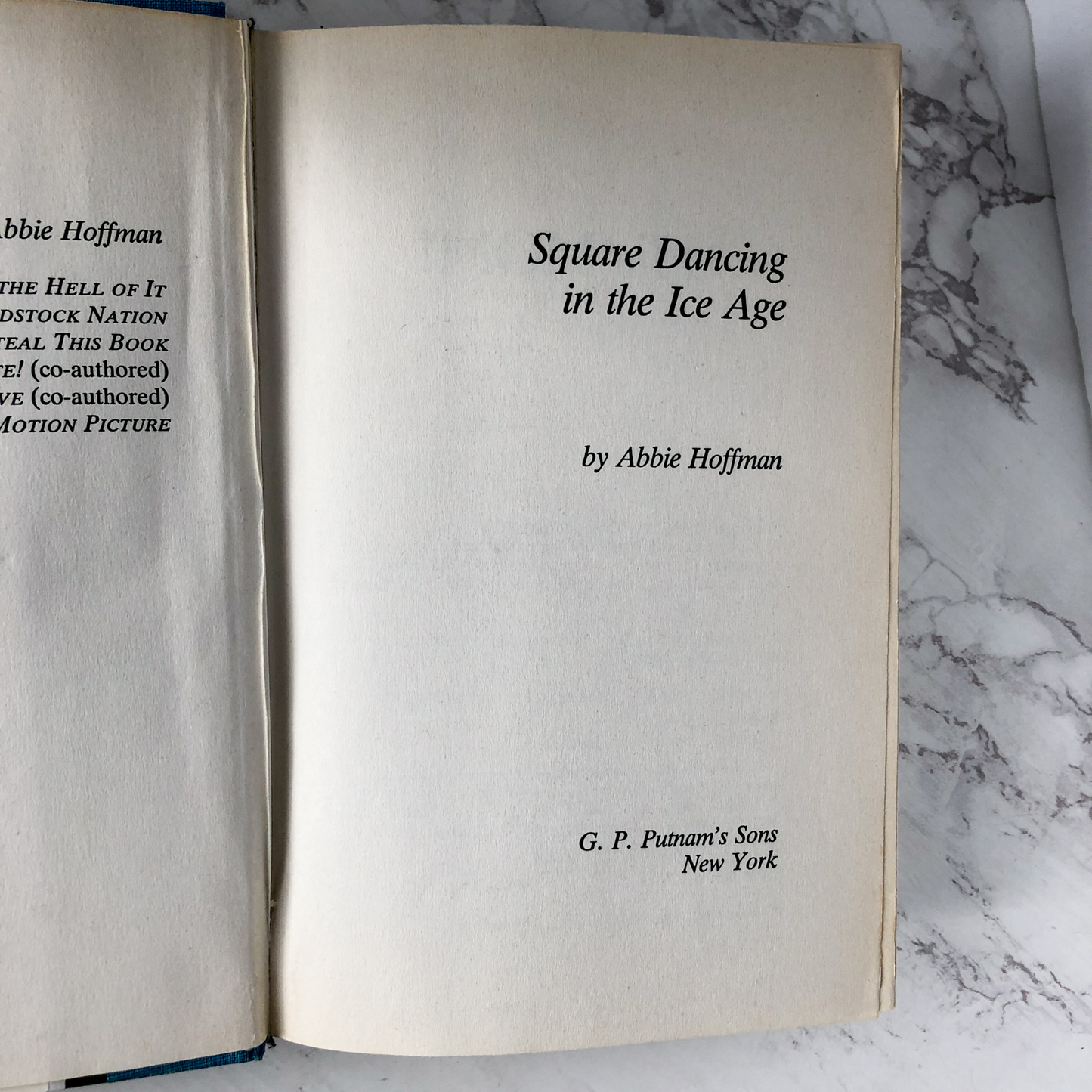 Square Dancing in the Ice Age by Abbie Hoffman [FIRST EDITION] - Bookshop Apocalypse