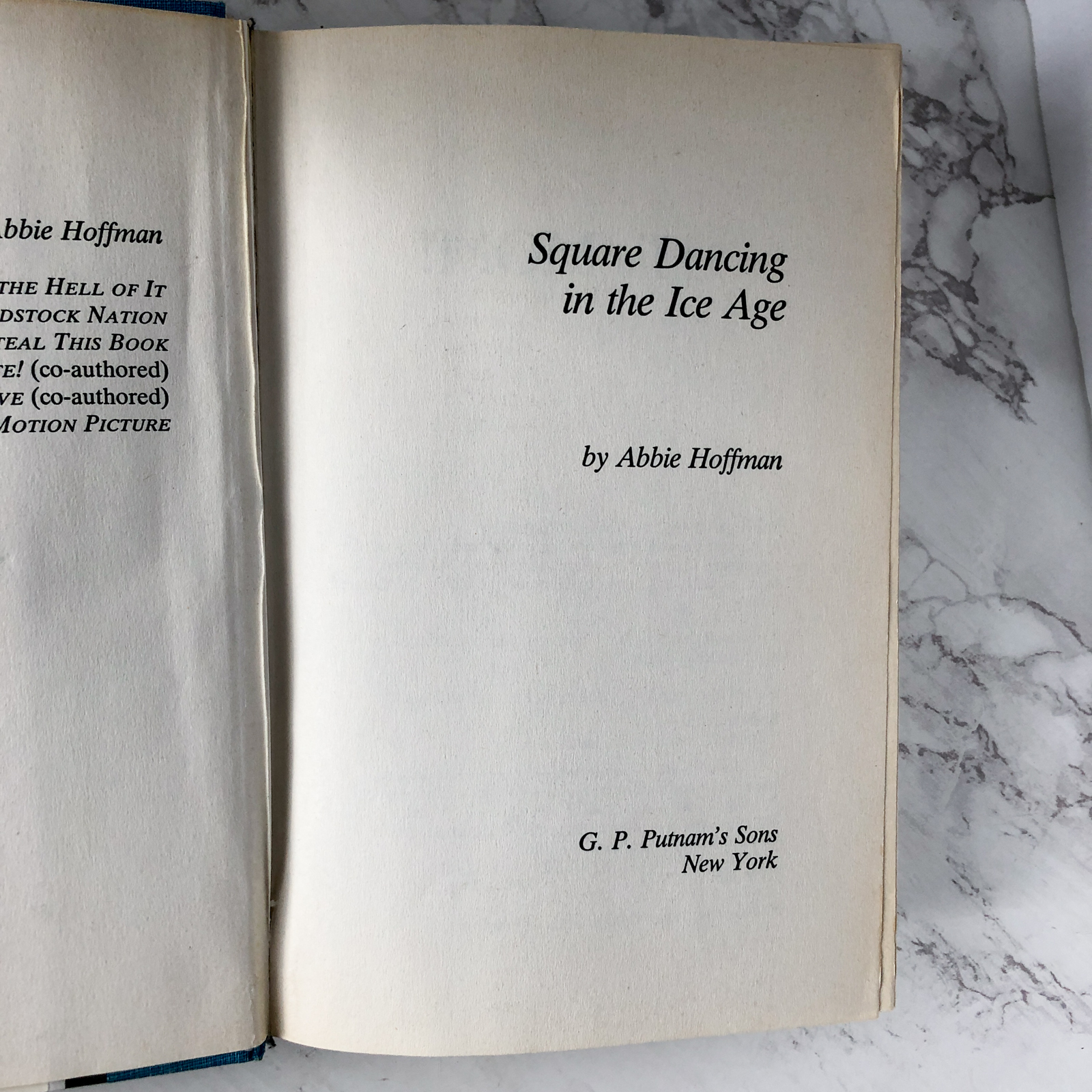 Square Dancing in the Ice Age by Abbie Hoffman [FIRST EDITION] - Bookshop Apocalypse