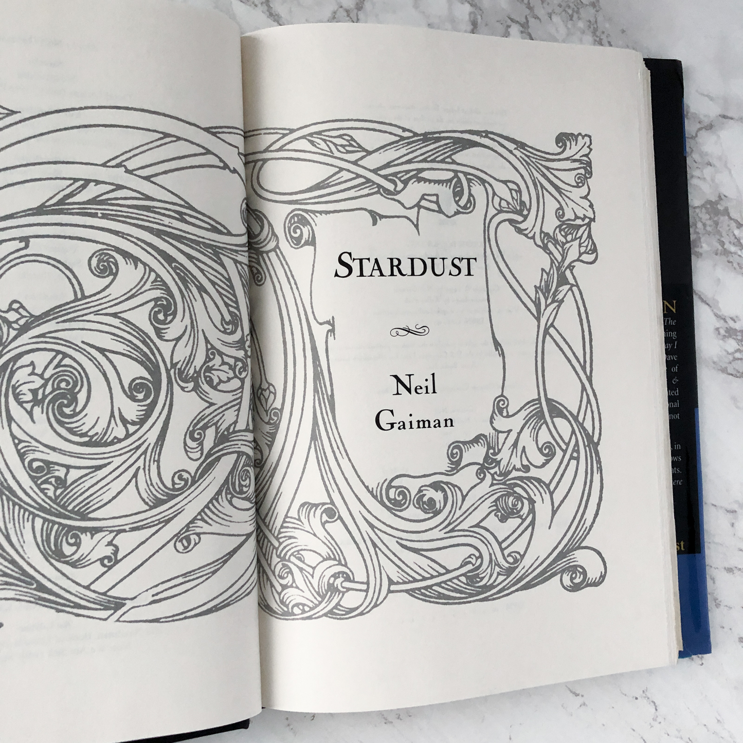 Stardust by Neil Gaiman [US FIRST EDITION / FIRST PRINTING] - Bookshop Apocalypse