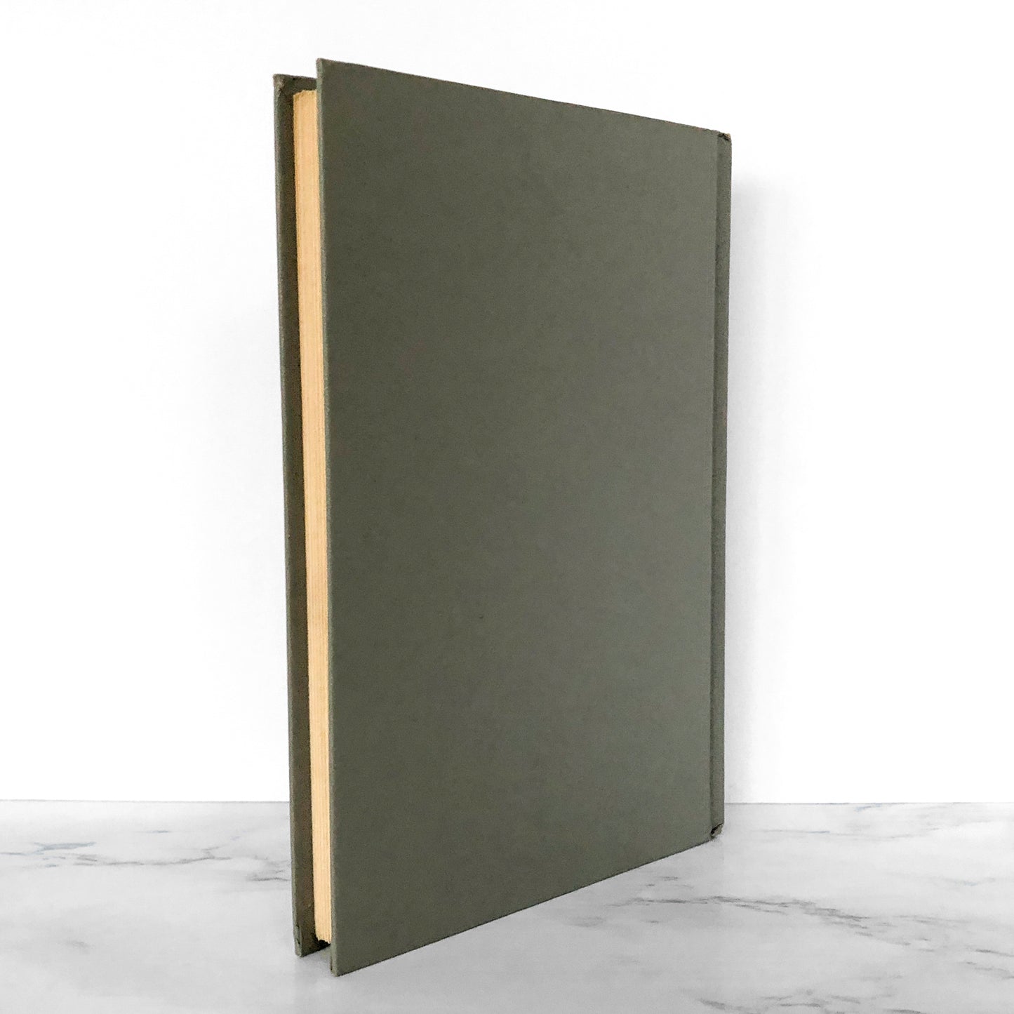 The Stepford Wives by Ira Levin [FIRST BOOK CLUB EDITION / 1972]