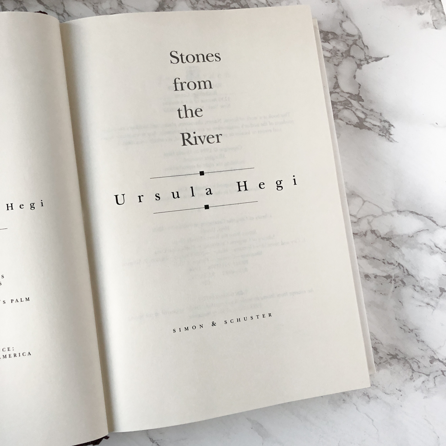 Stones from the River by Ursula Hegi [FIRST EDITION] - Bookshop Apocalypse