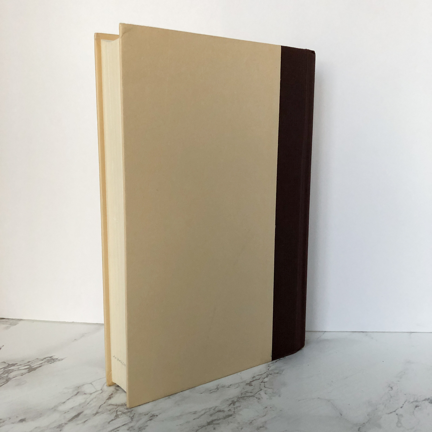 Stones from the River by Ursula Hegi [FIRST EDITION] - Bookshop Apocalypse