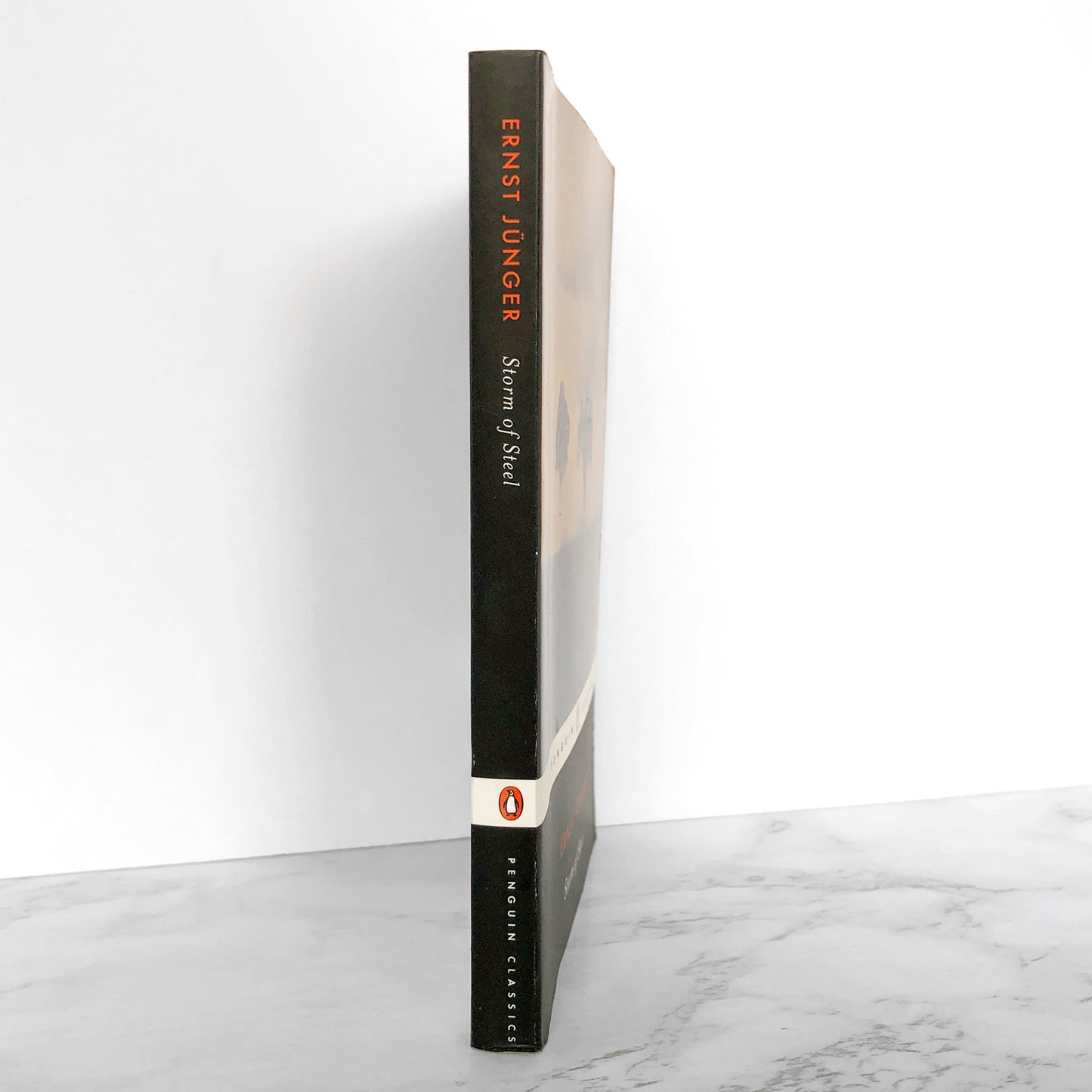 Storm of Steel by Ernst Jünger [PENGUIN CLASSICS PAPERBACK] 2004