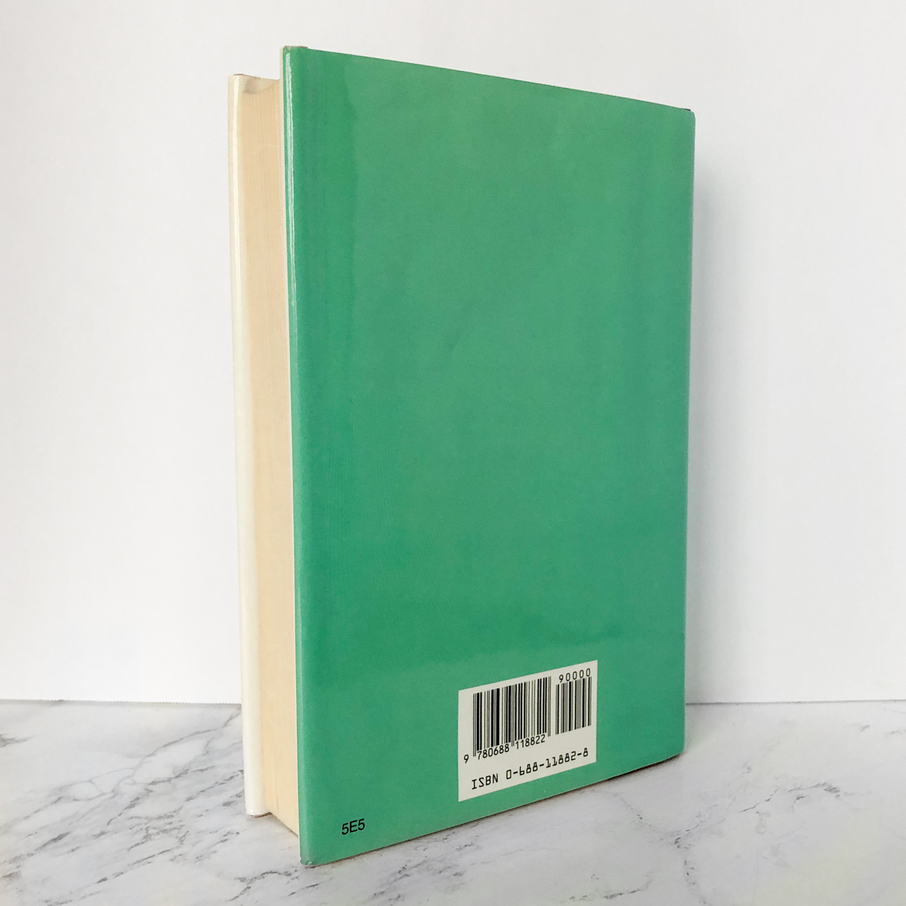 A Sudden Wild Magic by Diana Wynne Jones [FIRST EDITION / FIRST PRINTING] - Bookshop Apocalypse