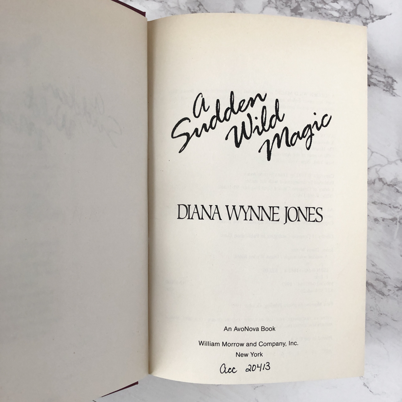 A Sudden Wild Magic by Diana Wynne Jones [FIRST EDITION / FIRST PRINTING] - Bookshop Apocalypse