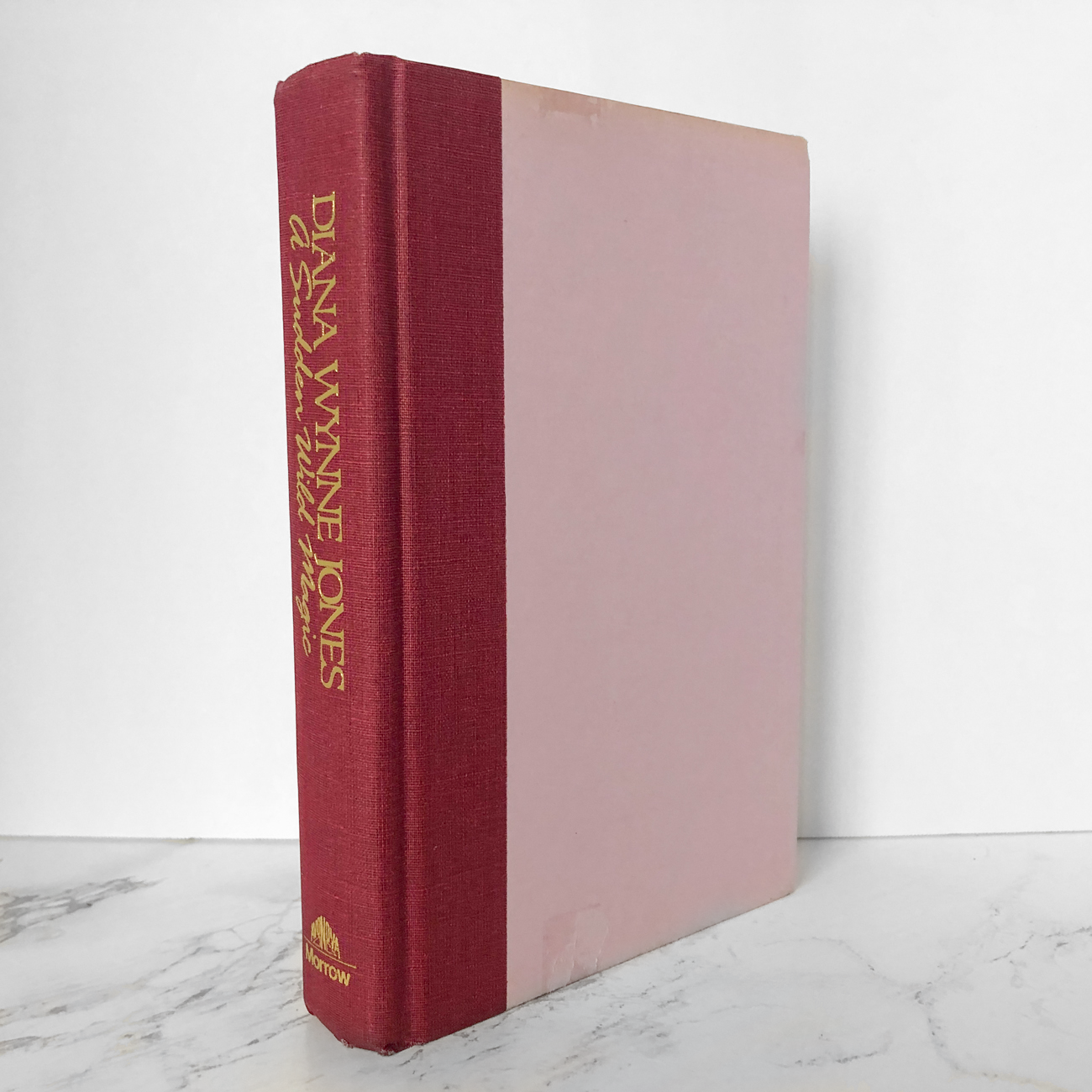 A Sudden Wild Magic by Diana Wynne Jones [FIRST EDITION / FIRST PRINTING] - Bookshop Apocalypse