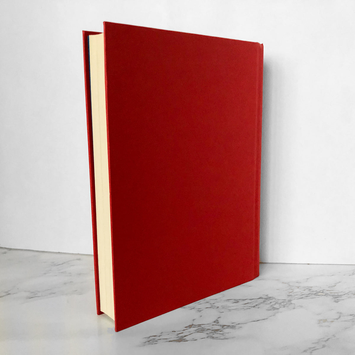 Superficial: More Adventures from The Andy Cohen Diaries by Andy Cohen [FIRST EDITION] - Bookshop Apocalypse