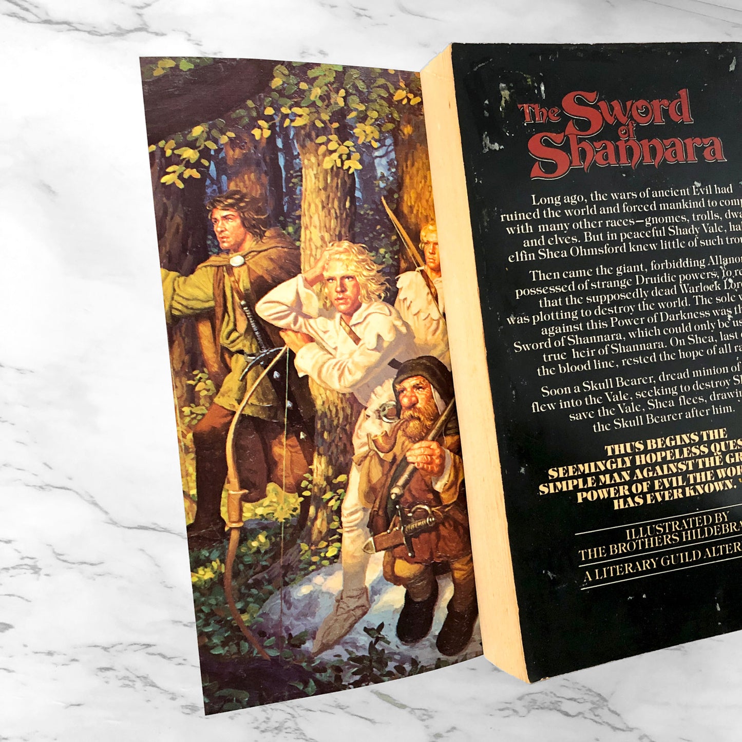 The Sword of Shannara by Terry Brooks [1978 PAPERBACK]