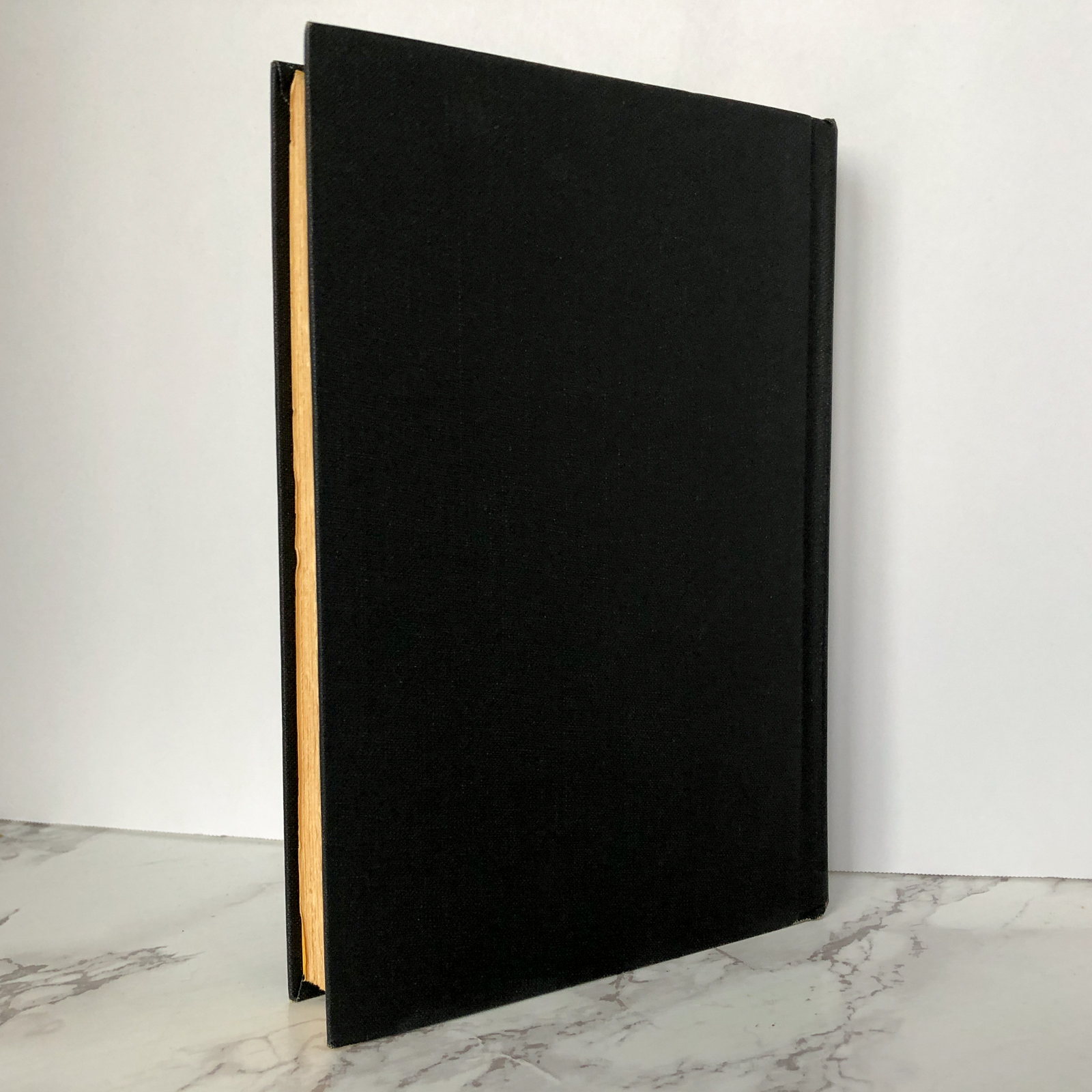 Synanon by Guy Endore [FIRST EDITION] - Bookshop Apocalypse