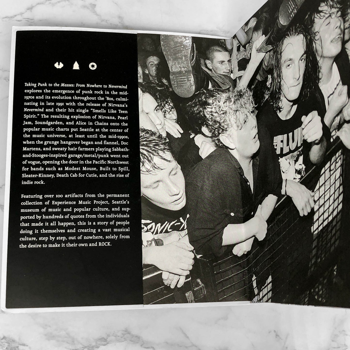 Taking Punk to the Masses: From Nowhere to Nevermind by Jacob McMurray [FIRST EDITION + DVD] 2011 •Fantagraphics