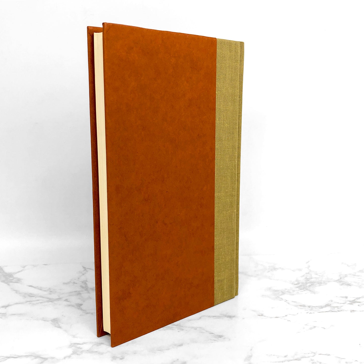 Taming the Star Runner by S.E. Hinton [FIRST EDITION • FIRST PRINTING] 1988 • Delacorte Press