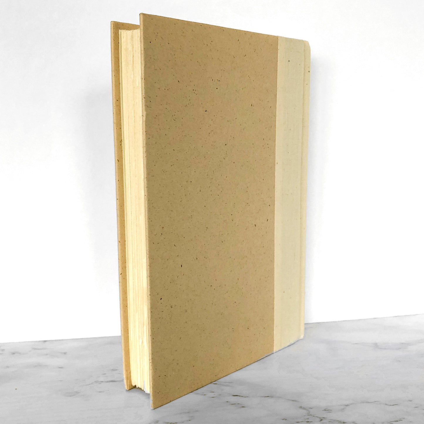 Tar Baby by Toni Morrison [FIRST EDITION / THIRTEENTH PRINTING]