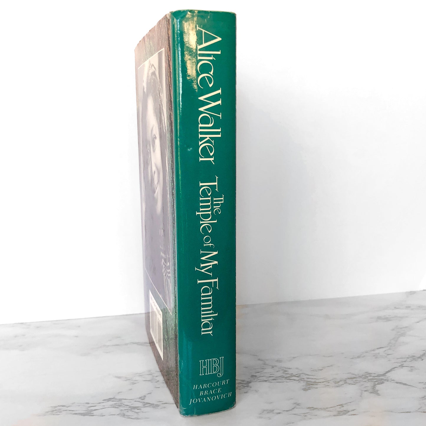 The Temple of My Familiar by Alice Walker [FIRST EDITION / FIRST PRINTING] 1989 • Harcourt