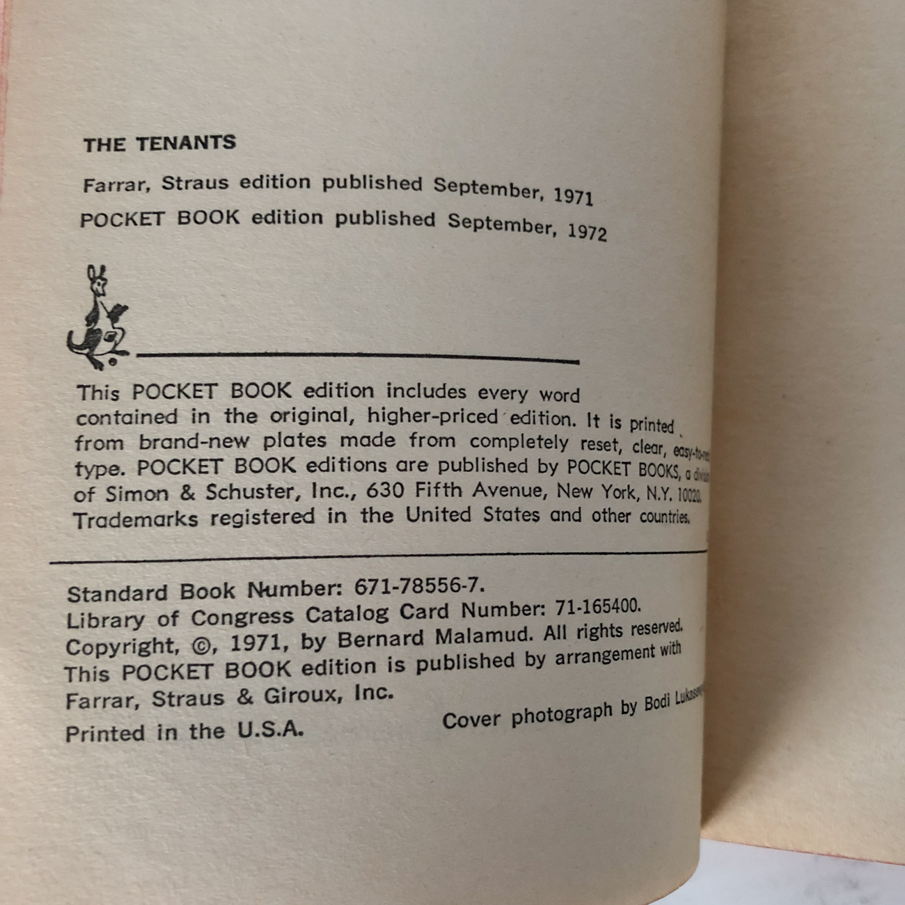 The Tenants by Bernard Malamud - Bookshop Apocalypse