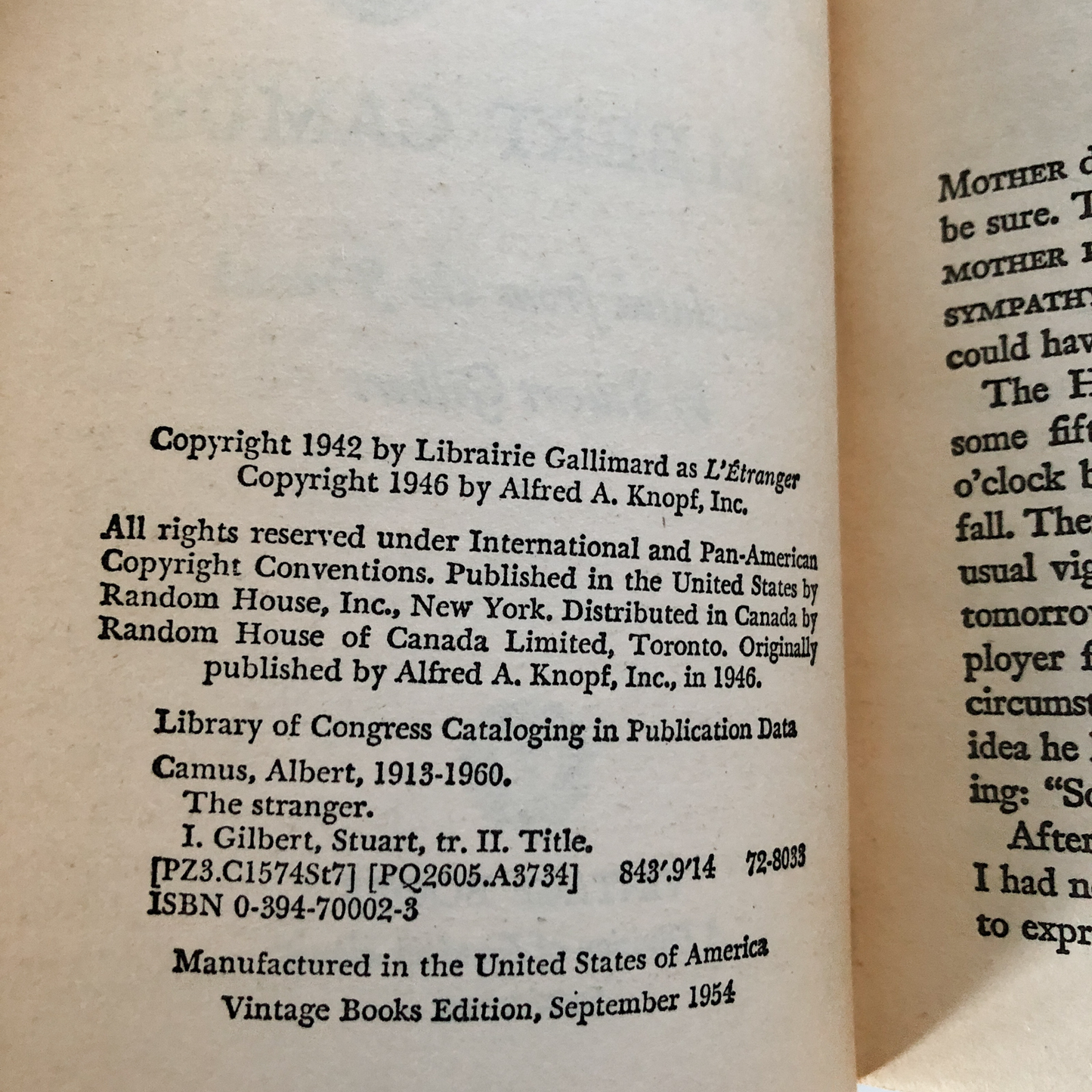 The Stranger by Albert Camus - Bookshop Apocalypse