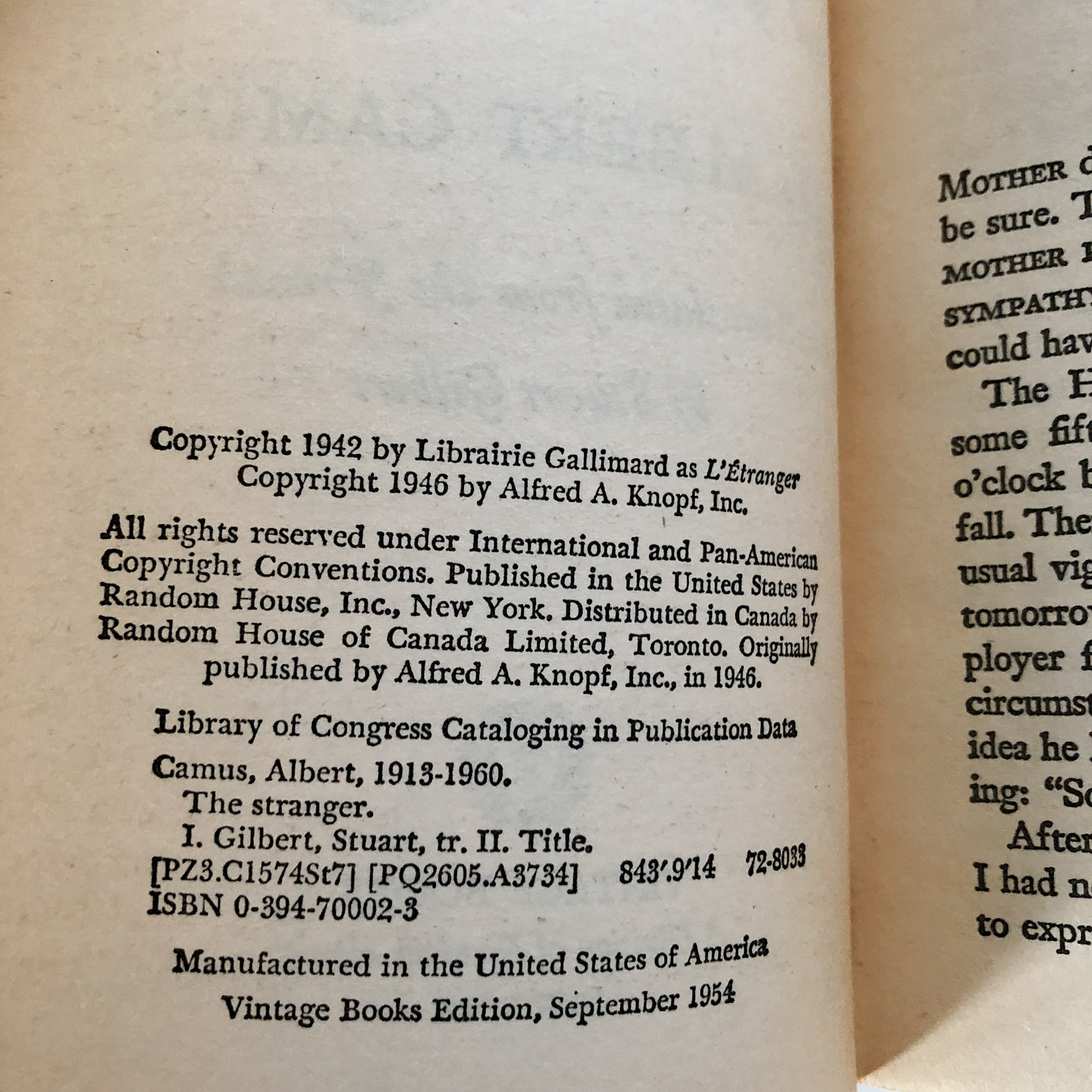 The Stranger by Albert Camus - Bookshop Apocalypse