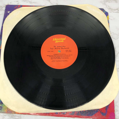 The Cakekitchen – Time Flowing Backwards [VINYL LP] 1991 • Homestead