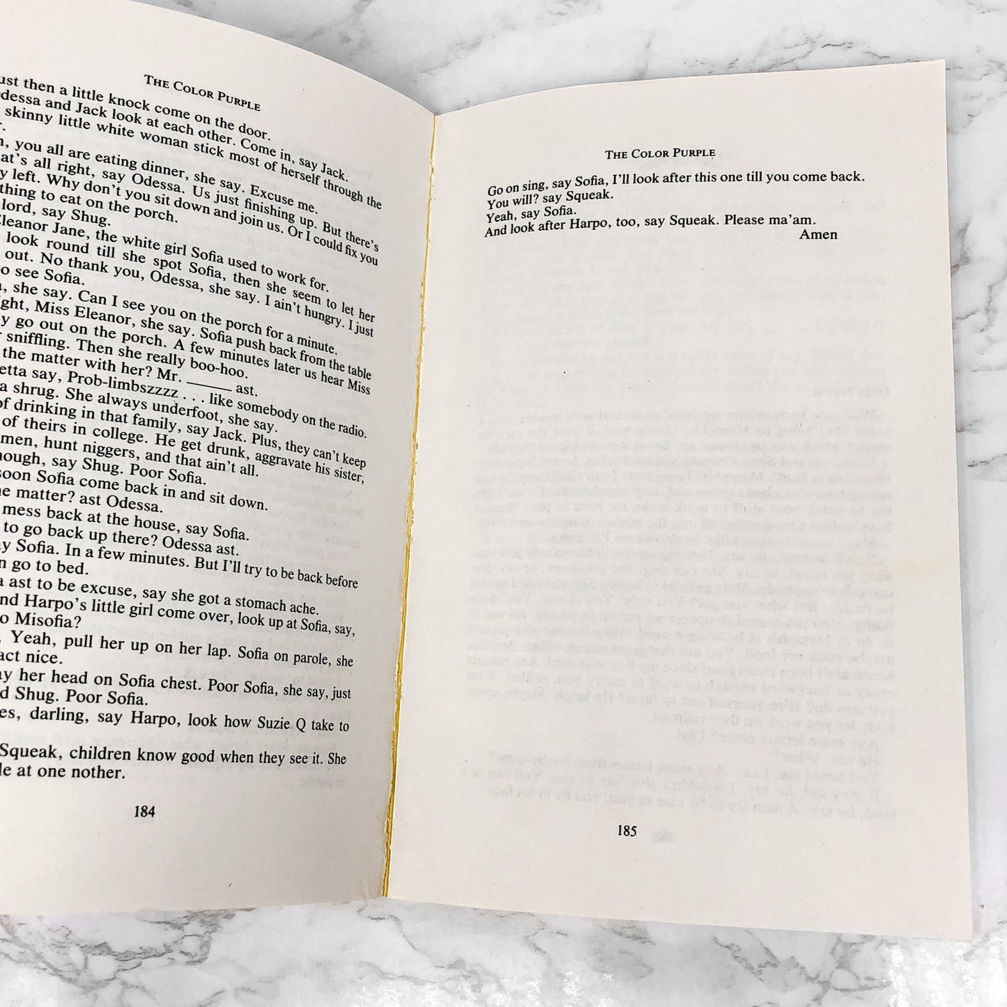 The Color Purple by Alice Walker [FIRST TRADE PAPERBACK EDITION] 1983 • Washington Square Press *Condition