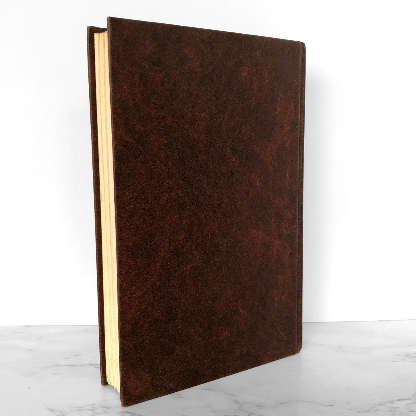 The Demon by Hubert Selby Jr. [FIRST EDITION / FIRST PRINTING] 1976