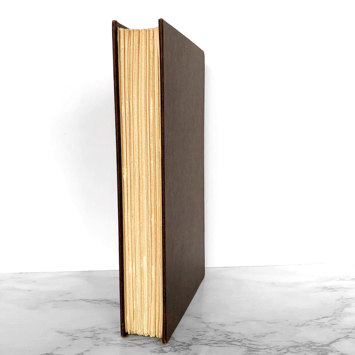 The Demon by Hubert Selby Jr. [FIRST EDITION / FIRST PRINTING] 1976