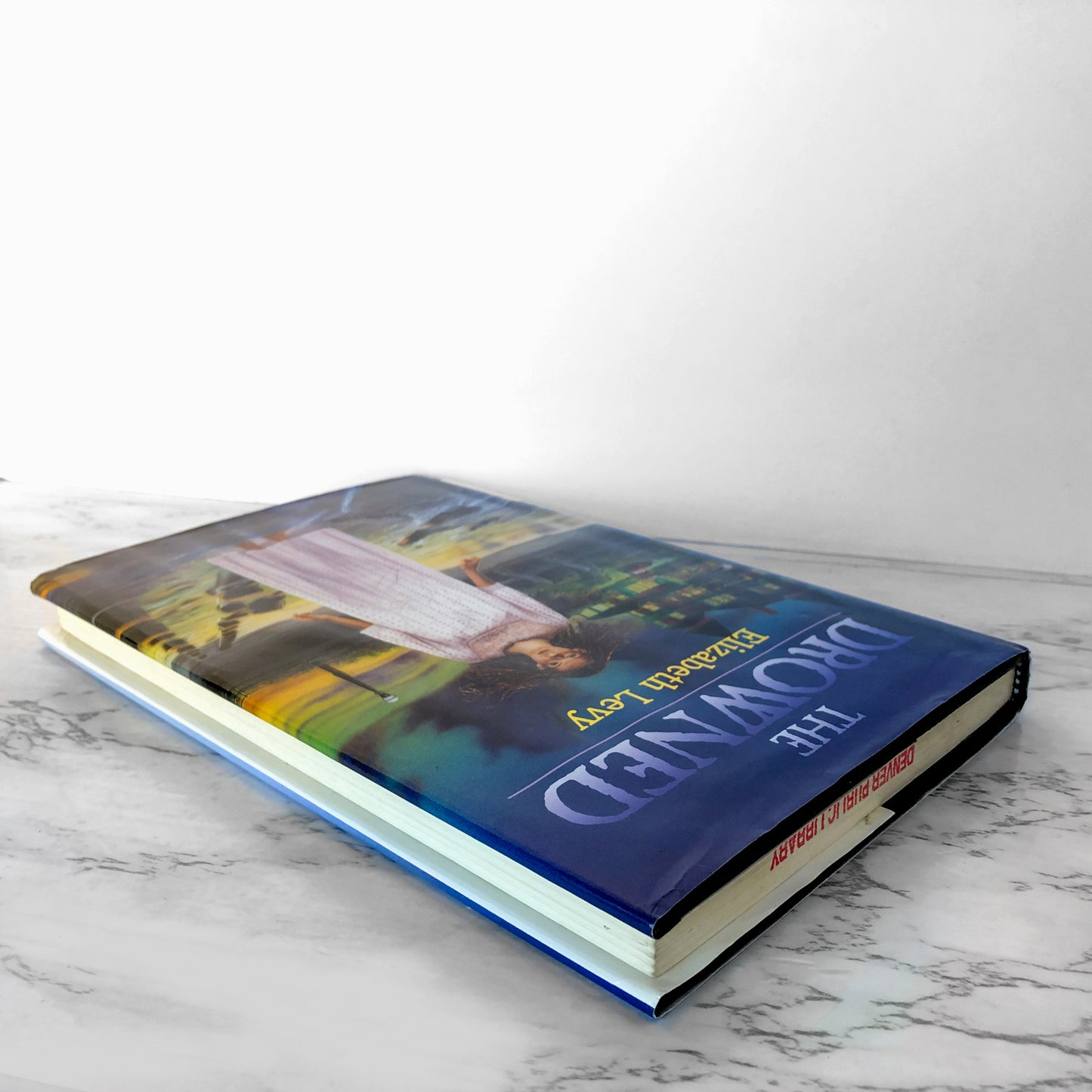 The Drowned by Elizabeth Levy [FIRST EDITION] 1995