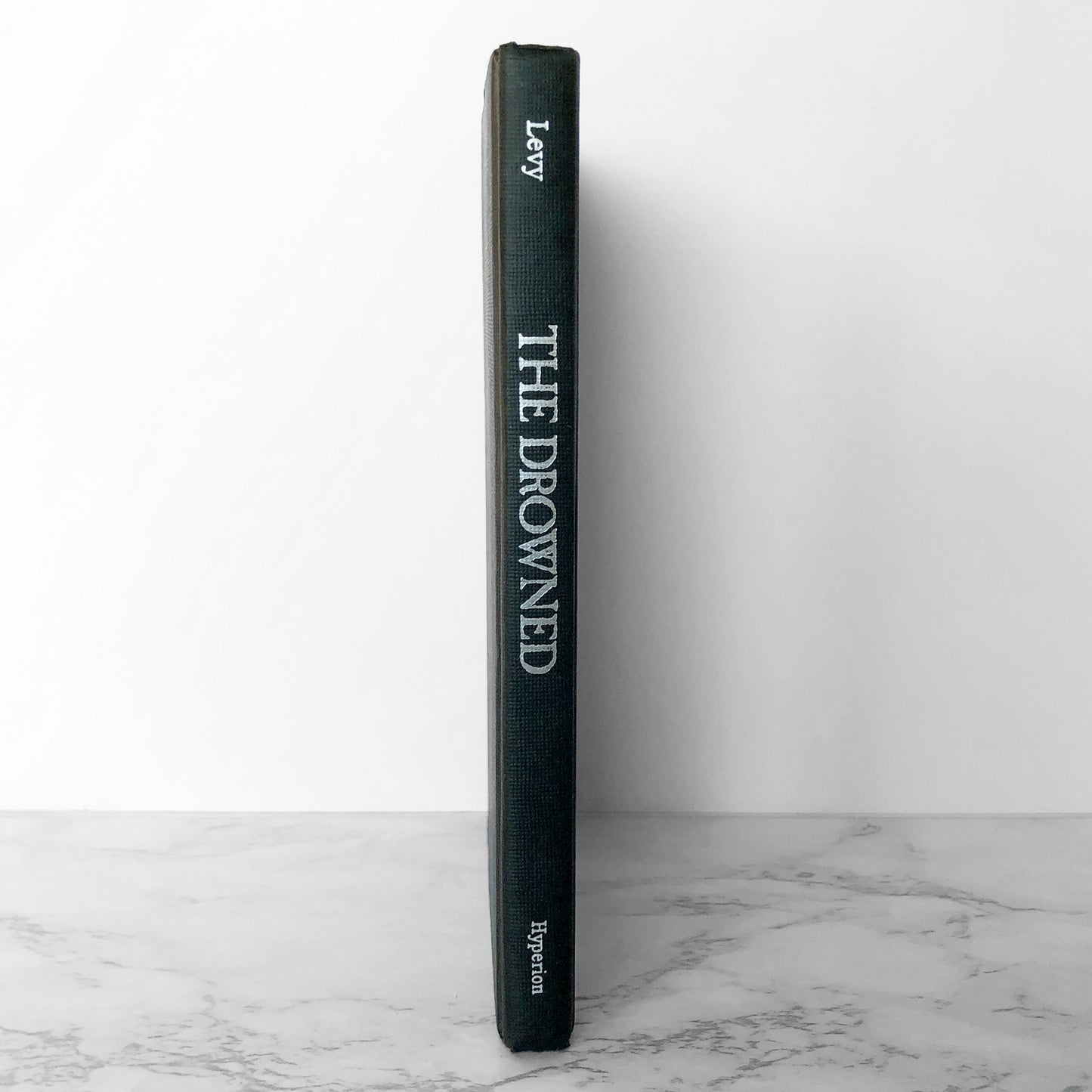 The Drowned by Elizabeth Levy [FIRST EDITION] 1995