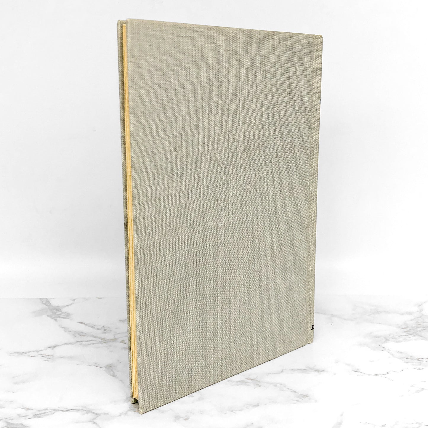 The Fifteenth Pelican aka "The Flying Nun" by Tere Ríos [FIRST EDITION • FIRST PRINTING] 1965